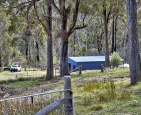 Rural / Farming commercial property sold at 1505 Mt Speribo Road Tenterfield NSW 2372