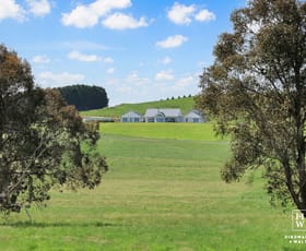 Rural / Farming commercial property for sale at 101 Greenhills Road Werai NSW 2577