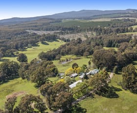 Rural / Farming commercial property sold at 198 McCombes Road Strathbogie VIC 3666