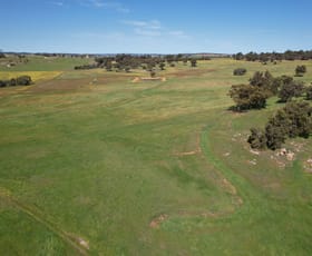 Rural / Farming commercial property for sale at 2367 York-Williams Road Beverley WA 6304