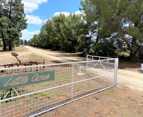 Rural / Farming commercial property sold at "Little Acres" Lot 1/14772 Mid Western Highway Goolgowi NSW 2652