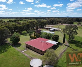 Rural / Farming commercial property sold at 954 Settlement Road Narrikup WA 6326