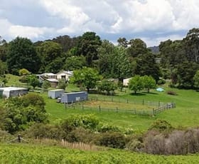 Rural / Farming commercial property for sale at 7630 Armidale Rd Billys Creek NSW 2453