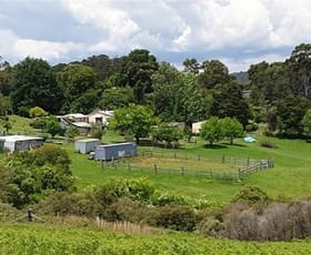 Rural / Farming commercial property for sale at 7630 Armidale Rd Billys Creek NSW 2453