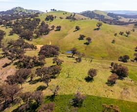 Rural / Farming commercial property sold at 49, 66, 91/2100 Taylors Flat Road Taylors Flat NSW 2586