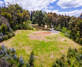 Rural / Farming commercial property sold at 25 Murrabrine Forest Road Yowrie NSW 2550