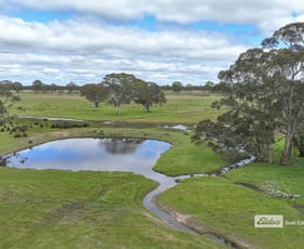 Rural / Farming commercial property sold at 115 Hinkleys And Tanseys Road Edenhope VIC 3318