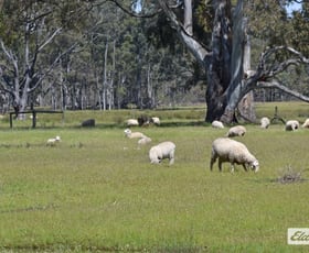 Rural / Farming commercial property for sale at Fyans Creek Road Fyans Creek VIC 3381