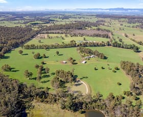Rural / Farming commercial property sold at 30 Hodgetts Road Rosevale TAS 7292