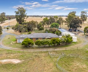 Rural / Farming commercial property sold at 1353 Middle Road Rushworth VIC 3612