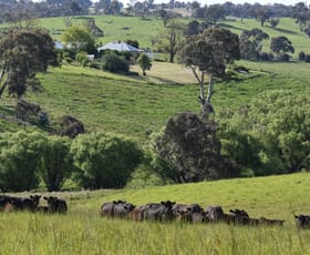 Rural / Farming commercial property sold at 1081 Triangle Flat Road Bathurst NSW 2795
