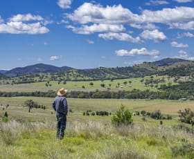 Rural / Farming commercial property sold at 864 Mole River Road Tenterfield NSW 2372