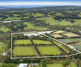 Rural / Farming commercial property sold at 1438 Mornington-Flinders Road Main Ridge VIC 3928