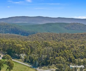 Rural / Farming commercial property sold at 4 Lovetts Flat Road Sassafras TAS 7307