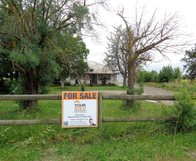 Rural / Farming commercial property sold at 215 Hosie Road Shepparton East VIC 3631