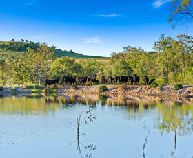 Rural / Farming commercial property for sale at 132 Kilburnie Mount Darry Road Goombungee QLD 4354