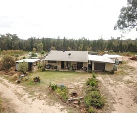 Rural / Farming commercial property sold at 1005 QUAKER TOMMY ROAD Coonabarabran NSW 2357