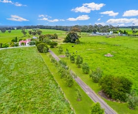 Rural / Farming commercial property sold at 1525 Irrewillipe Road Irrewillipe East VIC 3249