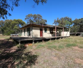Rural / Farming commercial property sold at 99 Lees Road Bet Bet VIC 3472