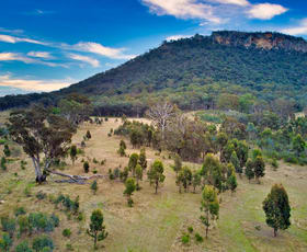 Rural / Farming commercial property sold at 335 Upper Nile Road Glen Alice NSW 2849