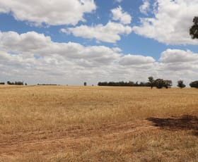 Rural / Farming commercial property for sale at 'East Gathan' 509 Gathan Road Deniliquin NSW 2710