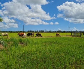Rural / Farming commercial property for sale at Lot 4 Kate Boylan Road Mourilyan QLD 4858