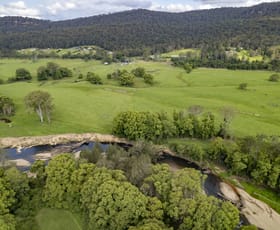 Rural / Farming commercial property sold at 2490 Sherwood Creek Road Glenreagh NSW 2450