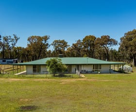 Rural / Farming commercial property sold at 1748 Brooks Road Coonabarabran NSW 2357