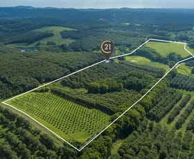 Rural / Farming commercial property for sale at Dunoon NSW 2480