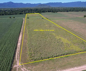 Rural / Farming commercial property sold at Lot 1 Sheahans Road Long Pocket QLD 4850