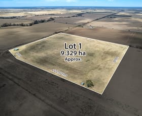 Rural / Farming commercial property for sale at Lot/1 Rons Road Sedan SA 5353