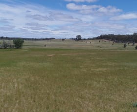 Rural / Farming commercial property for sale at Crown Allotment 43 Carapooee Road Carapooee VIC 3477