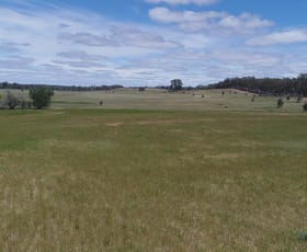 Rural / Farming commercial property sold at Crown Allotment 43 Carapooee Road Carapooee VIC 3477