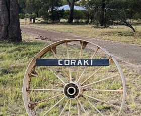 Rural / Farming commercial property sold at Coraki/3633 Bogan Road Peak Hill NSW 2869