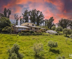 Rural / Farming commercial property leased at 229 Bridal Road Tonimbuk VIC 3815