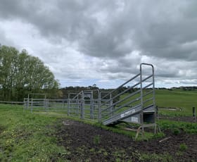 Rural / Farming commercial property for sale at 157A/ Williams Road Simpson VIC 3266