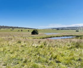 Rural / Farming commercial property sold at 58 Winterbourne Road Walcha NSW 2354
