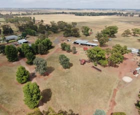 Rural / Farming commercial property sold at 'Coon Park', 509 Wilga Plains Road Ungarie NSW 2669