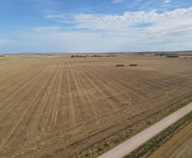 Rural / Farming commercial property sold at Section 115W Walkers Track Redhill SA 5521