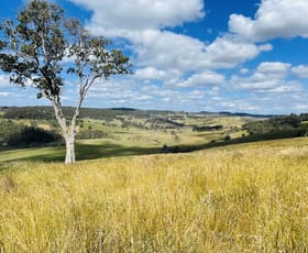 Rural / Farming commercial property sold at 572 Quite Valley Road Nowendoc NSW 2354
