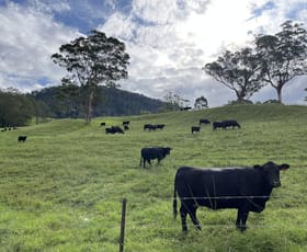 Rural / Farming commercial property for sale at 2319 Moss Vale Road Kangaroo Valley NSW 2577