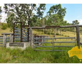 Rural / Farming commercial property sold at Wengenville QLD 4615
