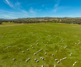 Rural / Farming commercial property for sale at 4162 Frogmore Road Hovells Creek NSW 2794