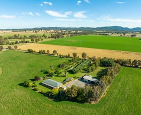 Rural / Farming commercial property for sale at 370 Kangarooby Road Gooloogong NSW 2805