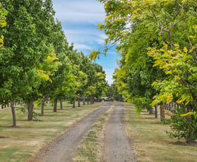 Rural / Farming commercial property for sale at 105 Powers Lane Birregurra VIC 3242