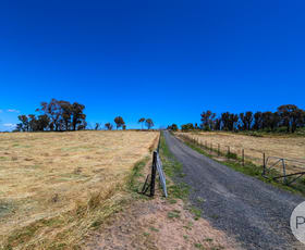 Rural / Farming commercial property sold at 128 Blueberry Farm Road (off Taradale Rd) Tumbarumba NSW 2653