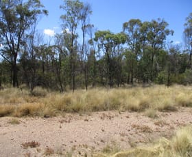 Rural / Farming commercial property for sale at Lot 33 Males Drive Tara QLD 4421