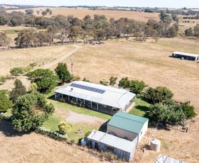 Rural / Farming commercial property sold at 493 Scenic Road Young NSW 2594