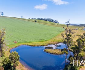 Rural / Farming commercial property sold at 1311 Pipers Brook Road Pipers Brook TAS 7254