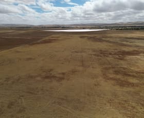 Rural / Farming commercial property sold at Lot 11 Elix Road Snowtown SA 5520